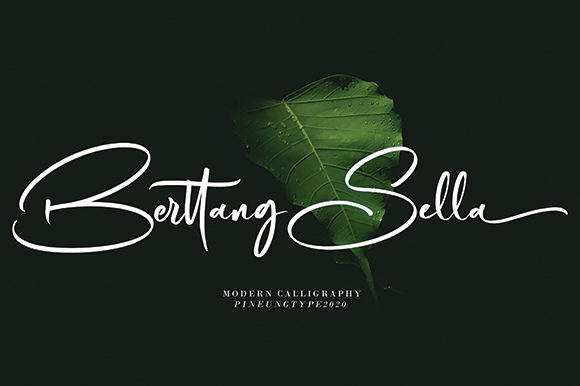 Berttang Sella: Elegant Script for Editorial Design