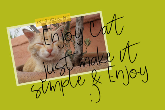 Enjoy Cat Font Review for Modern Campaigns