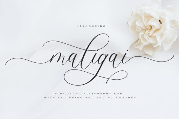 Maligai Typeface for Elegant Business Branding
