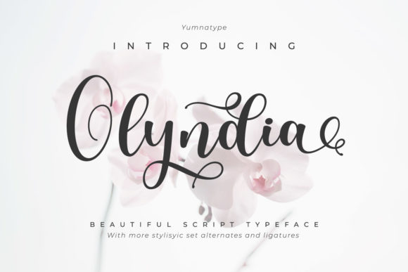 Olyndia: An Elegant Script Handwritten Font for Editorial Design