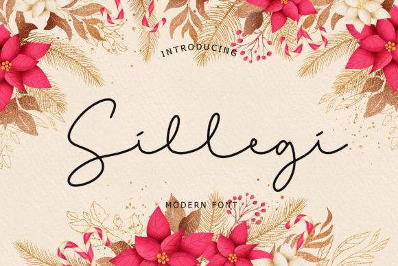 Sillegi Typeface: Romantic Script for Campaigns