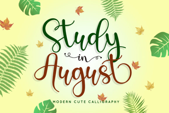 Study in August Font for Digital Branding