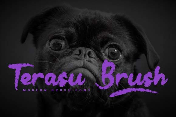 Terasu Brush: A Thick Handwritten Typeface for Branding