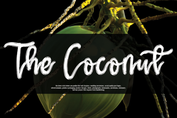 The Coconut Font for Modern Web Design